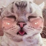 Profile Picture of Vòng Ngọc Bảo Hân (@vongngocbaohan) on Instagram