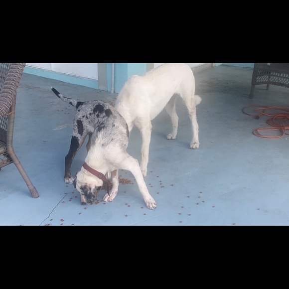 Profile Picture of Barbara Hooker (@barbarahooker) on Poshmark