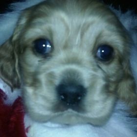 Profile Picture of Brisa Ramirez (@brisaramirez250) on Pinterest