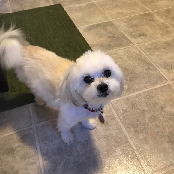 Deanna Zaleski - Poshmark Profile Picture of Deanna Zaleski (@deedee1413) on Poshmark