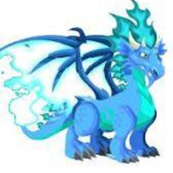 Profile Picture of Rebecca Meskers (@karmadragon) on Poshmark