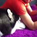 Profile Picture of Jessie Peter (@jessie.peter.5661) on Facebook