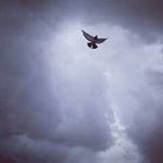 Profile Picture of Jonathan Dawes (@jonathan_dawes_01) on Instagram