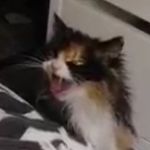 Profile Picture of Jerry Arnold (@ttfx12413) on Instagram