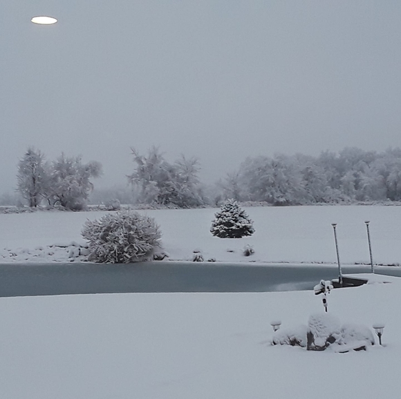 Profile Picture of Joann Hughes (@jhug21) on Poshmark