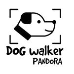 Profile Picture of Dog Walker Pandora (@dogwalkerpandora) on Instagram