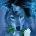 Profile Picture of Nora Alonso (@nora.alonso.7127) on Facebook