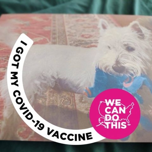 Profile Picture of Toby Weiss seft (@tweissseft) on Poshmark