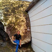 Profile Picture of Alpesh Sheth (@alpeshafrica) on Youtube