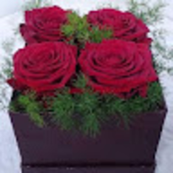 Aicha Aicha - Poshmark Profile Picture of Aicha Aicha (@aichadoha91) on Poshmark