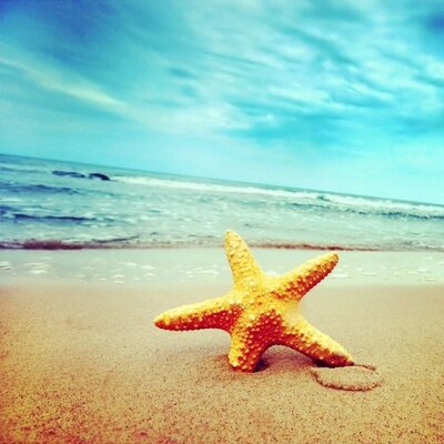 Profile Picture of Melanie Travis (@raynmelanie) on Twitter