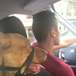 Profile Picture of Tom Xuan Thuy Joligeon Nguyen (@tom_xuan_thuy) on Instagram