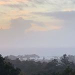 Profile Picture of Scott Orihuela (@howd_doody) on Instagram