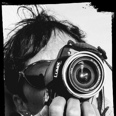 Anne-Sophie LEDOUX - Twitter Profile Picture of Anne-Sophie LEDOUX (@ASLedoux) on Twitter