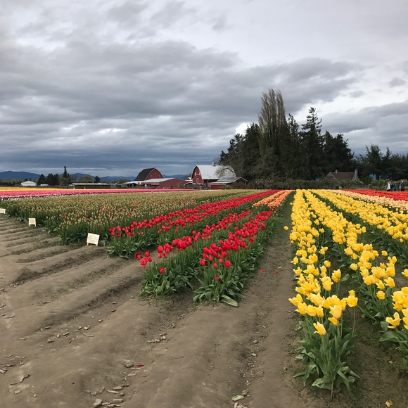 Profile Picture of Edna Baez (@zamorabaez) on Poshmark