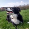 Profile Picture of Sean Gibbs (@@sean_gibbs0) on Tiktok