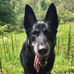 Profile Picture of John Keast (@john.keast.3154) on Facebook