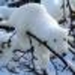 Profile Picture of Holly Feng (@165937387) on Myspace