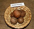 Orania ravaka - Wikipedia Profile Picture of Orania ravakaon Wikipedia