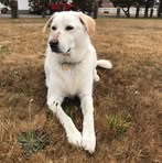 Profile Picture of Gunnar Jacobsen (@gunnar.jacobsen.311) on Facebook