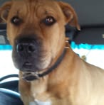 Profile Picture of Jimmy Crittenden (@jimmy.crittenden.161) on Facebook