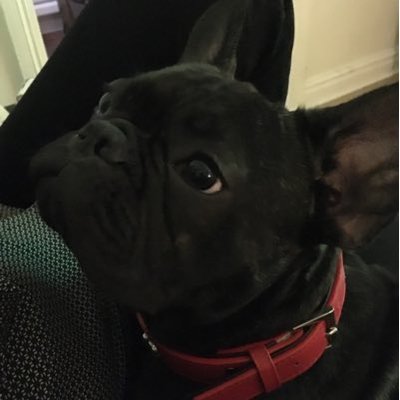 Profile Picture of Andrew (@Stec71Andrew) on Twitter
