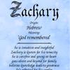 Profile Picture of Zachary😆 (@zachary_mol) on Tiktok