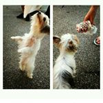 Profile Picture of carby026 (@carbonneaumichael) on Instagram