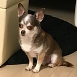 Profile Picture of Takashi Sato (@takashi_sorariku) on Instagram