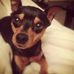 Profile Picture of Jody Decker (@jody.decker.524) on Facebook
