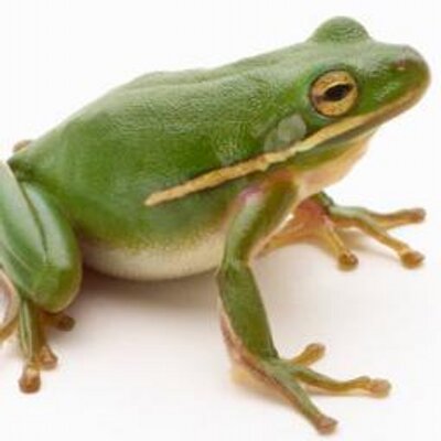 Profile Picture of Todd Wallis (@WallisTodd) on Twitter