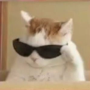 Profile Picture of AlainaStewart_23 (@alainasrewart_23) on Tiktok