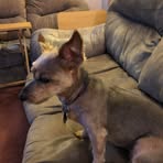 Profile Picture of Joy Baio (@joy.baio.7) on Facebook