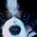 Profile Picture of Craig Rakow (@craig.rakow.9) on Facebook