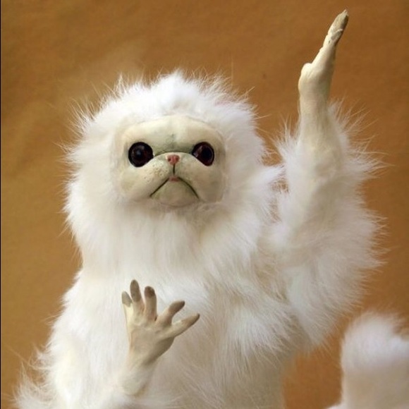 Profile Picture of Daniella Silva (@daniellaxsilva) on Poshmark