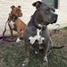 Profile Picture of Tyon Feaster (@tyofe19) on Pinterest