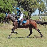 Profile Picture of Ivy Harris🇦🇺 (@ivy._.showjumping) on Instagram