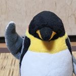 Profile Picture of あんけん (@kronopenguinxx) on Instagram