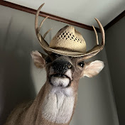 Profile Picture of Cooper Howell (@cooperhowell15) on Youtube