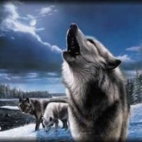 Profile Picture of Sabrewolf Black (@HanerDavid10) on Twitter