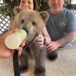 Profile Picture of Mike Hamblin (@mikehamblin) on Instagram