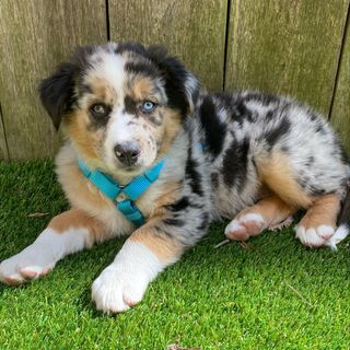 Profile Picture of Martin ‘Marty’ (@lifeoftheparty_marty) on Instagram