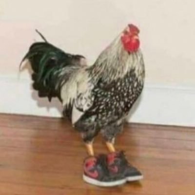 Profile Picture of Grant Payne (@It_isnt_grant) on Twitter