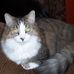 Profile Picture of Edna Singleton (@profile.php) on Facebook