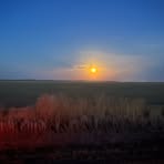 Jeri Farmer - Facebook Profile Picture of Jeri Farmer (@Jeri-Farmer) on Facebook