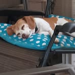 Profile Picture of Glenna Helms (@glenna.helms.2025) on Facebook