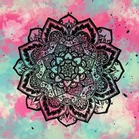 Profile Picture of Devin May (@devin-may-5) on Quora