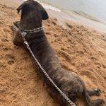 Profile Picture of Jonathan Byrnes (@will_mahoney2022) on Instagram