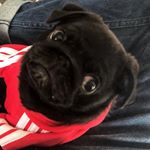 Profile Picture of James B (@james_blitz2018) on Instagram