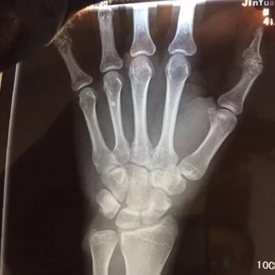 Profile Picture of JesseJin (@JesseJin13) on Twitter